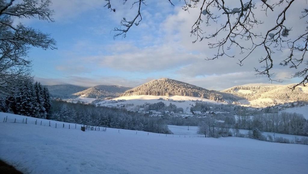 Schwarzwald-Ferienwohnungen Begert room 1